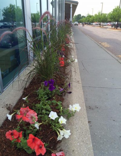 13620110_1719698701625983_8012331438027393405_n